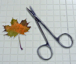 8. 10-12 Fussy Cut Image